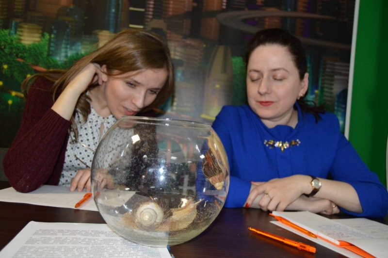 Фото к Декоративные кролики, улитка ахатина и семена из космоса: в ИЦАЭ Воронежа завершился конкурс исследовательских работ