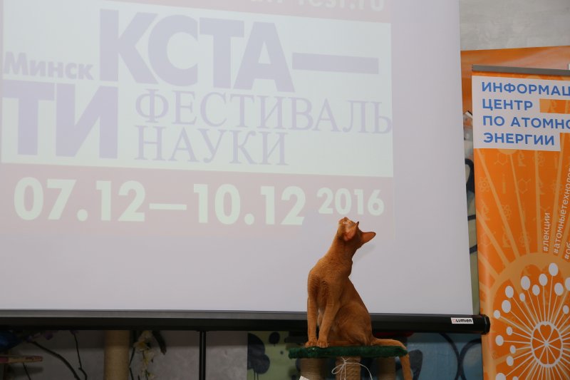 Фото к Открытие фестиваля науки «КСТАТИ» в Минске завершилось «Защитой диссертации»