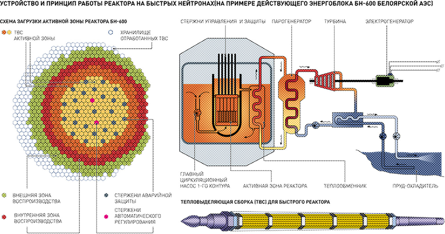 Схема реактора аэс