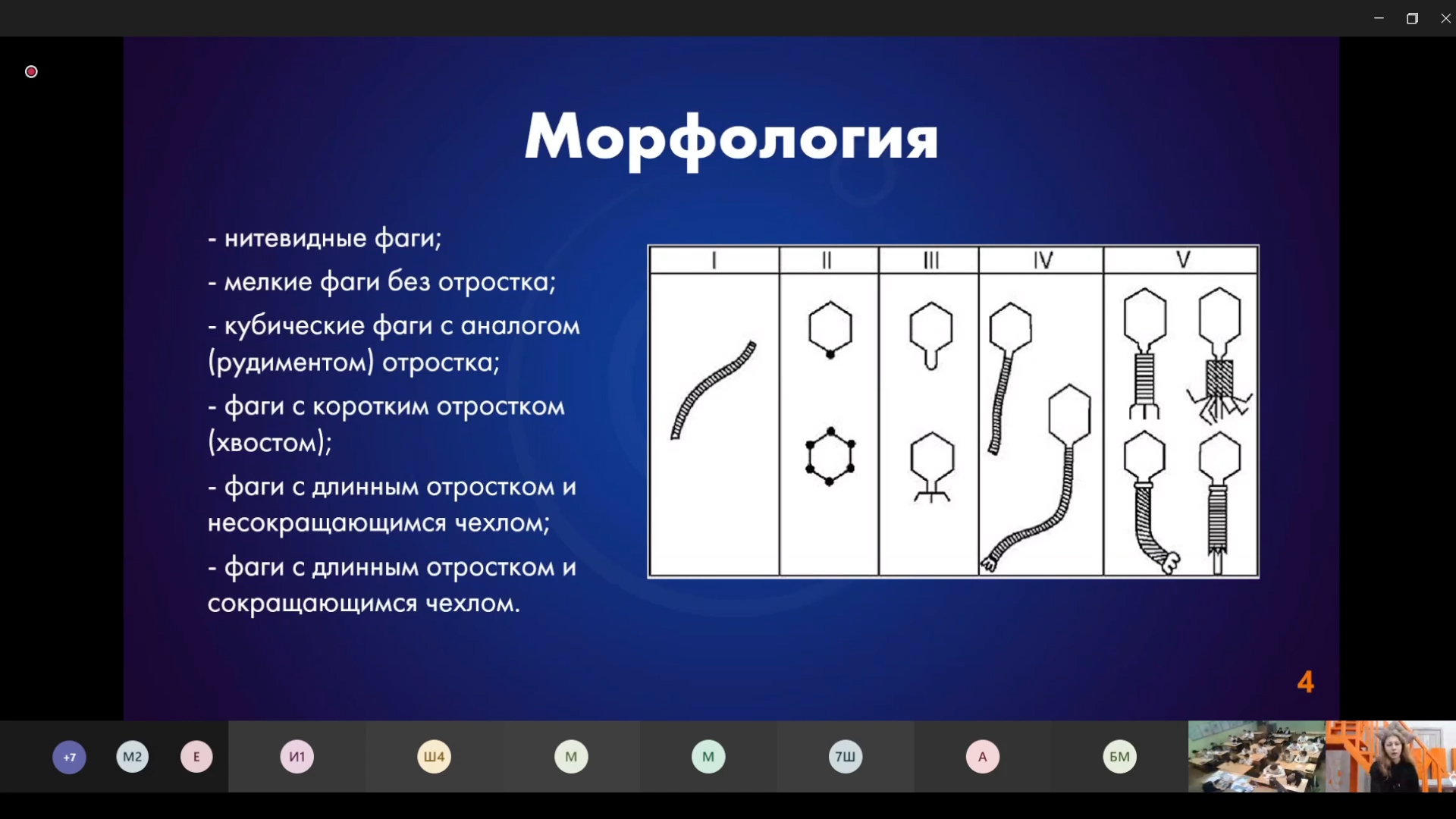 Кого «боятся» бактерии, узнали ростовские школьники