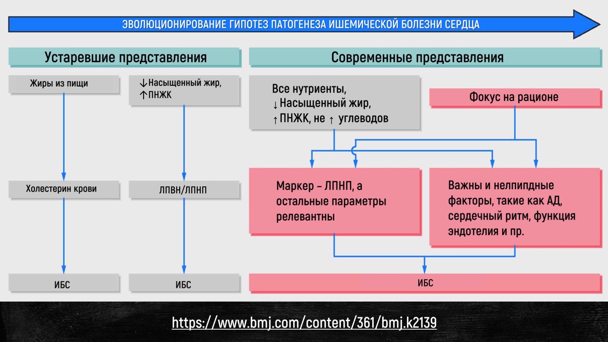 Алексей Водовозов рассказал об открытиях, навредивших медицине